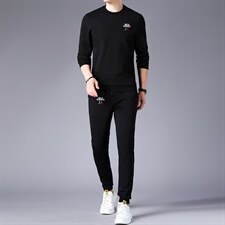 CA9018钱塘2020-2春秋新款时尚休闲简约中青年男士套装P150，男装休闲套装，钱塘207-2