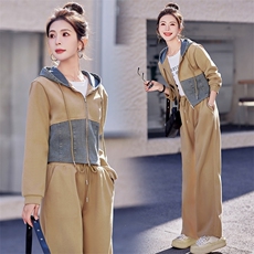 bao款现货2024新款女装春装韩版休闲套装两件套，女装套装/套裙，靓星雨