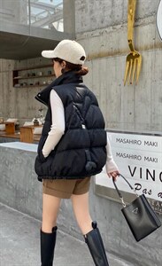 羽绒马甲图片