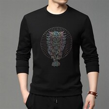 男士纯棉薄款春秋季中年圆领卫衣2023新款宽松长袖t恤男打底衫，男装卫衣，电商B212（原钱塘6029）