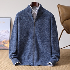 2025年秋季新款纯色针织开衫时尚休闲简约风，男装针织衫/毛衣，冬季工坊