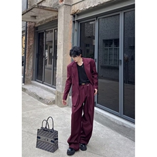 C316XZ9960P108K9961P68TZ9962P176秋冬新款酒红色西服套装，男装西服，电商C316