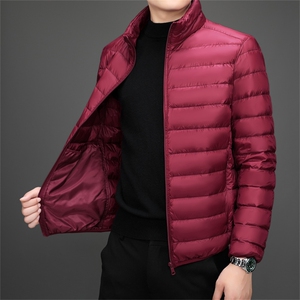 达标50绒轻薄羽绒服外套男立领冬季中青年男士休闲百搭YR911-P70图片