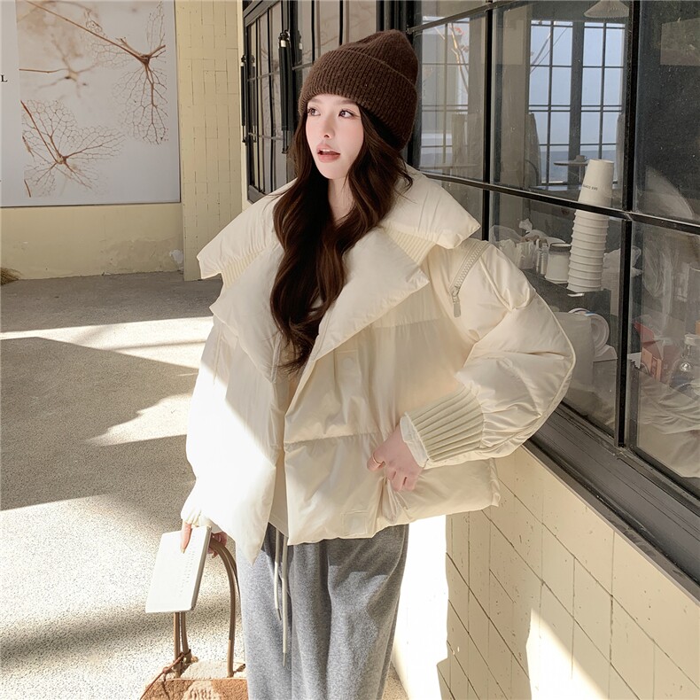 水衣源2319款短款大翻领加厚时尚羽绒服冬季保暖外套女图片
