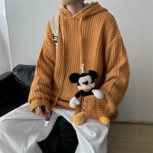20秋冬 港风连帽针织衫毛衣中性情侣纯色百搭韩版潮 W01/图片
