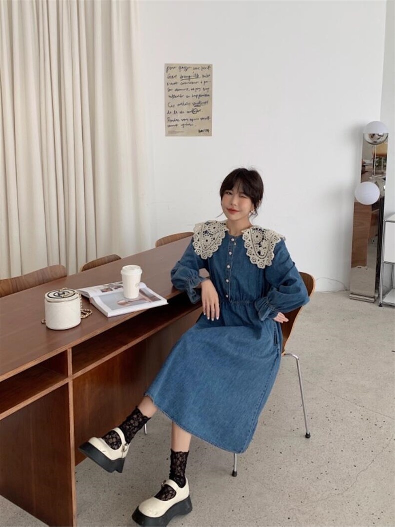 蕾丝花边领子连衣长裙，其它，肆尔