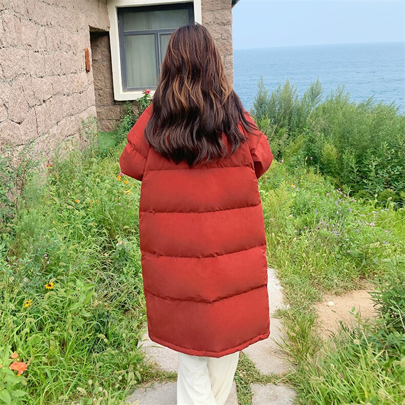 新年红色羊羔毛翻领羽绒棉服女冬季2024新款学院风牛角扣棉衣棉袄,女装棉衣/棉服,C位