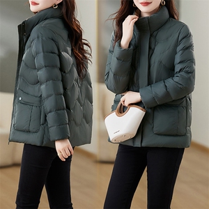 羽绒服2024新款时髦修身立领羽绒服图片