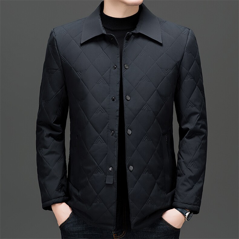 高端商务翻领棉服男2026秋季新款爸爸装棉衣休闲秋装轻薄棉袄外套,男装棉衣,电商B212（原钱塘6029）