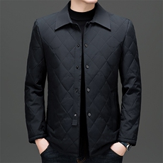 高端商务翻领棉服男2026秋季新款爸爸装棉衣休闲秋装轻薄棉袄外套，男装棉衣，电商B212（原钱塘6029）