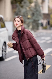 现货主推短款立领加厚保暖白鸭绒羽绒服女2025冬新款图片