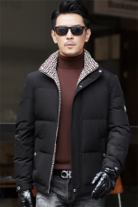 冬季白鸭绒加厚羽绒服短款青年休闲立领保暖防寒潮服外套男装，男装羽绒服，钱塘6003（原4033）