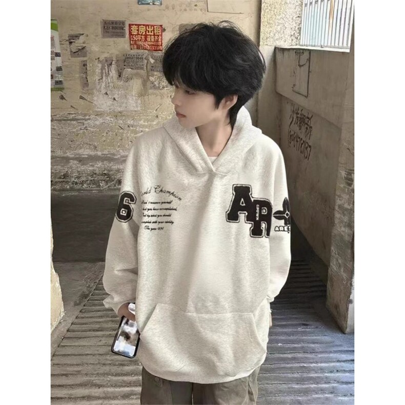 网图高街字母植绒绣花连帽运动衫男子秋冬宽松卫衣YY802-P45图片