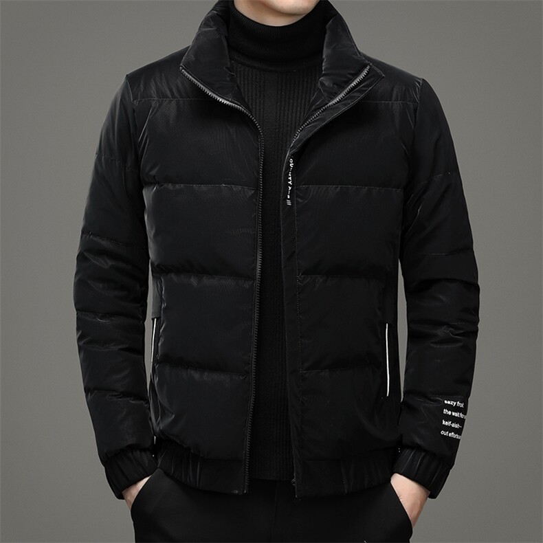 2024年新款男士皮衣羽绒服P220，男装羽绒服，电商D223-1
