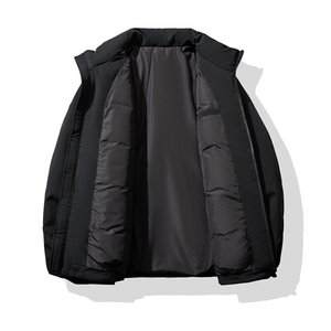 男士短款立领羽绒服90白鸭绒 D213-41025-P580图片