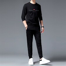春秋季男士运动套装休闲健身跑步运动服中年高端两件套，男装休闲套装，电商B212（原钱塘6029）