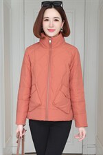 2022新款简约时尚立领棉服休闲百搭显瘦保暖外套，女装棉衣/棉服，婷思杰（原婷想服饰）