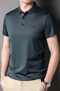 短袖T恤夏季新款翻领宽松T恤短袖中年男士打底衫上衣休闲时尚男装图片
