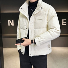 男士羽绒服2024新款冬季简约潮牌立领男装外套A313-8636-P225，男装羽绒服，电商A313