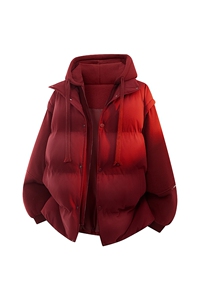 新款冬季羽绒棉服棉袄连帽假两件韩版宽松外套A436-2511-P85图片