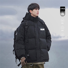 港风23新款冬季时尚百搭立领连帽羽绒服外套YR63604P225控298，男装羽绒服，电商A268A