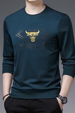 长袖男春秋季2023新款时尚圆领印花卫衣中年爸爸商务休闲上衣，男装卫衣，电商B212（原钱塘6029）