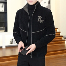 秋冬新款加厚金貂绒立领毛呢大衣短款夹克外套上衣男D31P145控238，男装毛呢大衣，电商B226-2（原B217-2）