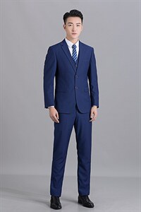 87882-2秋季新款男士西服两件套套装西装修身商务休闲P180图片