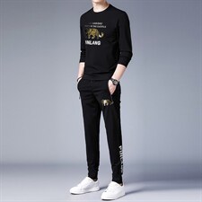 2023春秋季时尚圆领印花套装男休闲运动服中青年长袖T恤两件套男，男装休闲套装，电商B212（原钱塘6029）