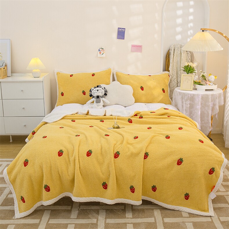 新款高克重亲肤高端泰迪绒四季多功能毯加厚牛奶绒毛毯毯子，毯子，一起卖家纺