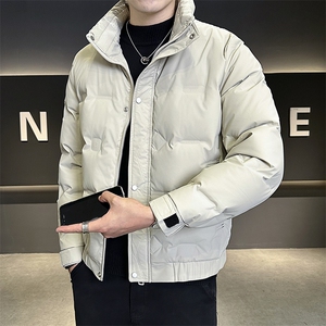数据男士冬季羽绒服立领百搭鸭绒保暖夹克外套A225-8316-P95图片