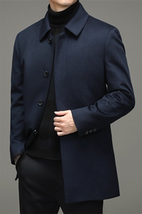 BW6528钱塘2020-2中年男士商务休闲翻领简约冬季厚款羽绒服P490图片