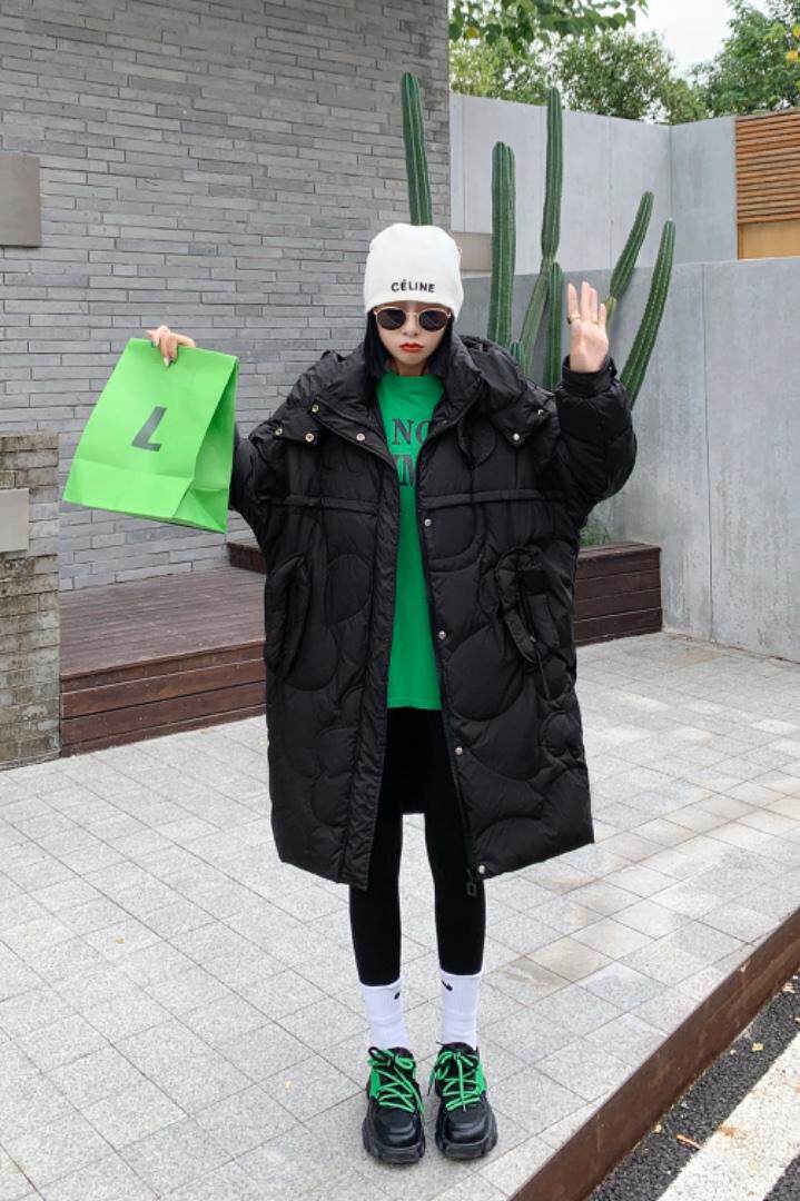 登石木子 DSMZ133544