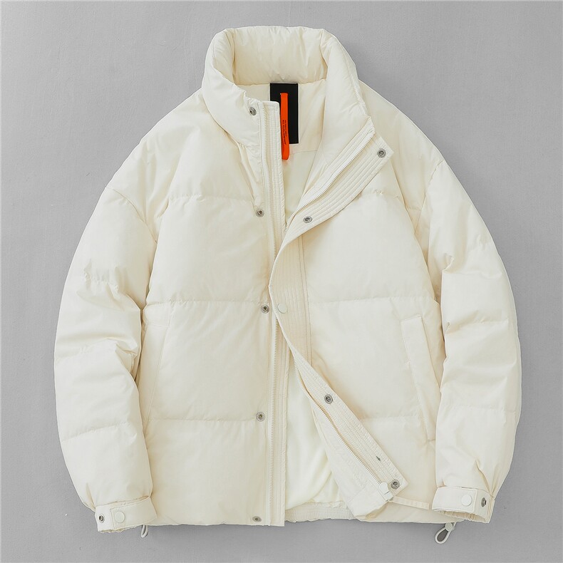 2025冬季新款潮牌男立领压胶宽松百搭保暖羽绒服外套，男装羽绒服，电商A234