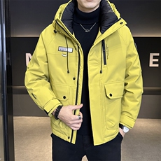 标50白鸭绒工装加厚外套2025新款男装羽绒服C317-Y6803-P215，男装羽绒服，电商C317