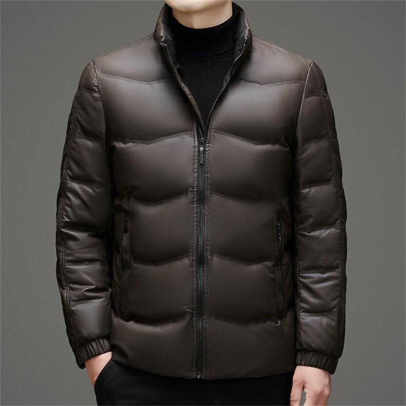 主推加大码冬季男士白鸭绒羽绒服保暖品质立领加绒休闲简约男装,男装羽绒服,钱塘6003（原4033）