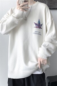 量大有差价秋冬圆领毛衣男休闲主推款韩版A161-2-MY1161-P50图片