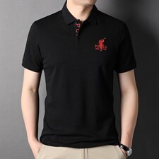 翻领短袖T恤男2023夏季新款商务休闲透气凉感polo衫时尚百搭男装，男装T恤，电商B212（原钱塘6029）