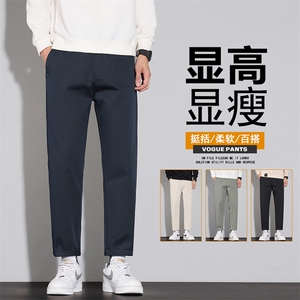 春秋男士休闲裤直筒宽松潮牌2025潮流百搭高端男式西裤D9015-P45图片