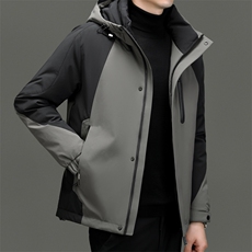 DF8803钱塘2020-2时尚休闲冬季厚款连帽中年男士羽绒服P320，男装羽绒服，钱塘207-2
