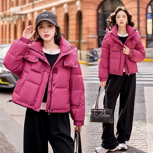 现货！2025冬季新款白鸭绒羽绒服女图片