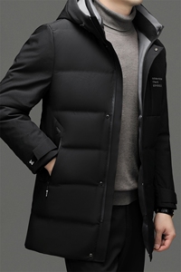 羽绒服男士新款秋冬季宽松休闲中青年保暖连帽外套 FF2297-P265图片
