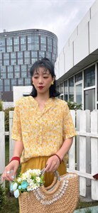 纯苎连衣裙小衫裤子裙子衬衣 时尚风 风淑女风休闲风,女装连衣裙,川哲