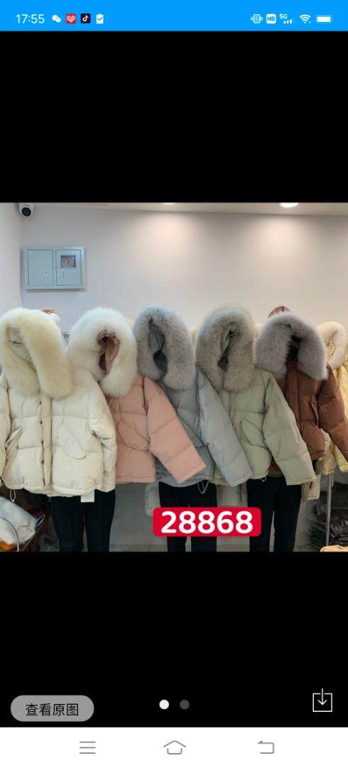 The Show Fei Fei THESHOWFEIFEI133152