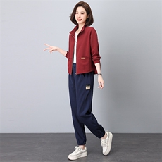现货时尚休闲减龄开衫套装女春秋新款宽松显瘦两件套，女装套装/套裙，依恋蒂丝