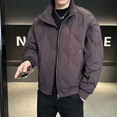 新标90绒2025设计师款简约休闲保暖立领羽绒服外套男6678-P240，男装羽绒服，电商A413