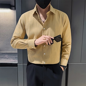 主推新款足货秋冬男士内搭长袖衬衫小伙店主条纹衬衣C601P48控78图片