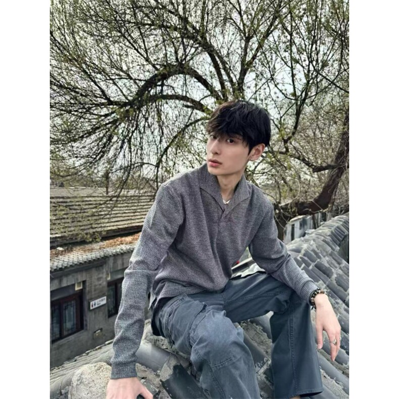 现货~老钱风罗马格意式一片领猫眼宝石扣polo长袖男~C25231批45，男装卫衣，星座1411A-6