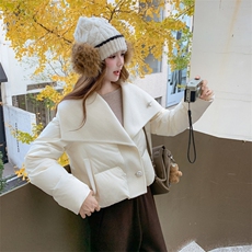 现货210-3299-P275-K39870羊毛双面呢拼新标90白鸭绒，女装羽绒服，浙宝210（原浙宝191）