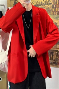 2025秋季新款百搭男士休闲西装学生宽松西服单西外套XZ01P85图片